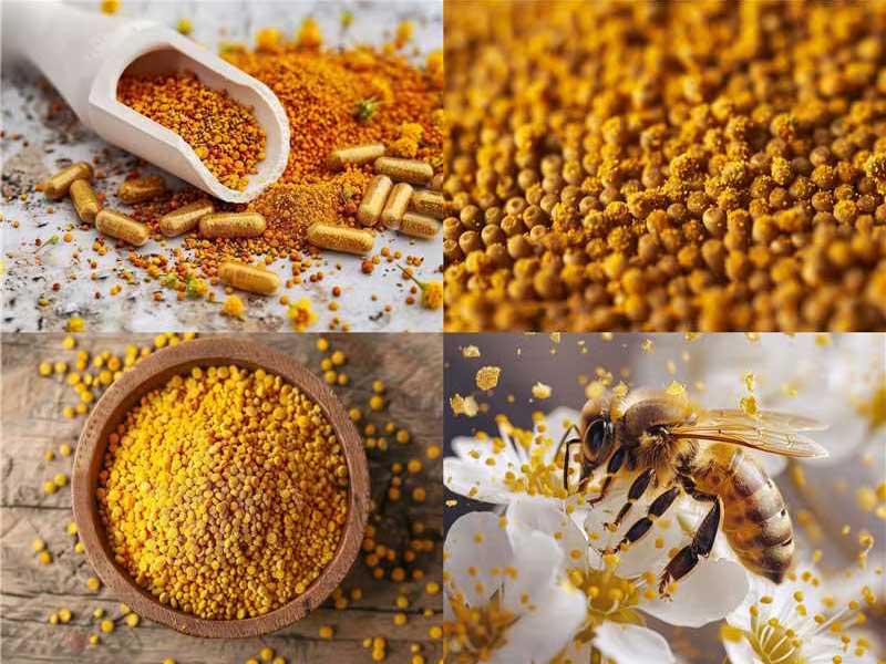 bee pollen capsules