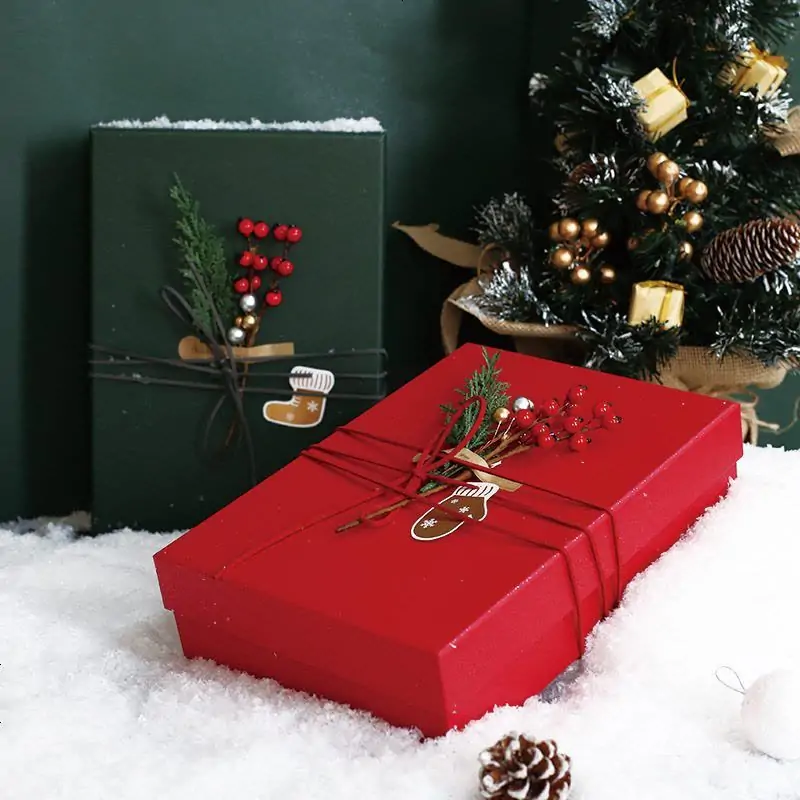 Why Gummies Supplements Are the Perfect Christmas Gift in 2025
