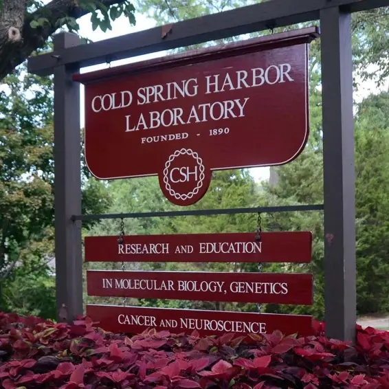 Cold Spring Laboratory