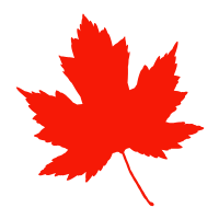 Daun maple merah